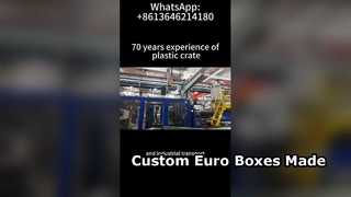 Production de boîtes Euro personnalisées et de conteneurs VDA | Usine de conteneurs logistiques en plastique OEM
