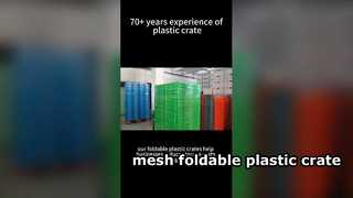 Emballage de caisse en plastique pliable en maille pour solution logistique réutilisable peu encombrante pour les clients américains