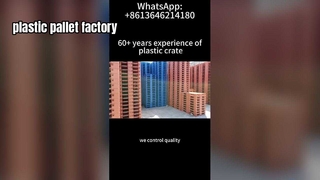 Fabrication de palettes en plastique avec options de couleurs personnalisées