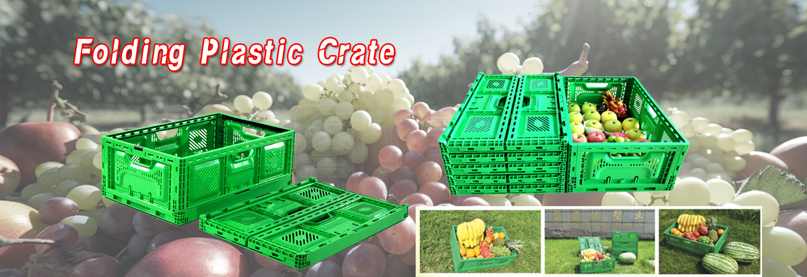 qualité Caisse en plastique pliable usine