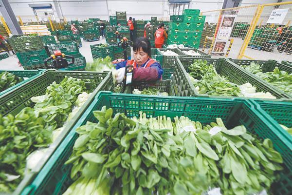 Derniers blogs de l'entreprise sur Pourquoi les caisses en maille de 600 × 400 × 220 mm deviennent la norme pour la livraison de produits frais au dernier kilomètre en 2026