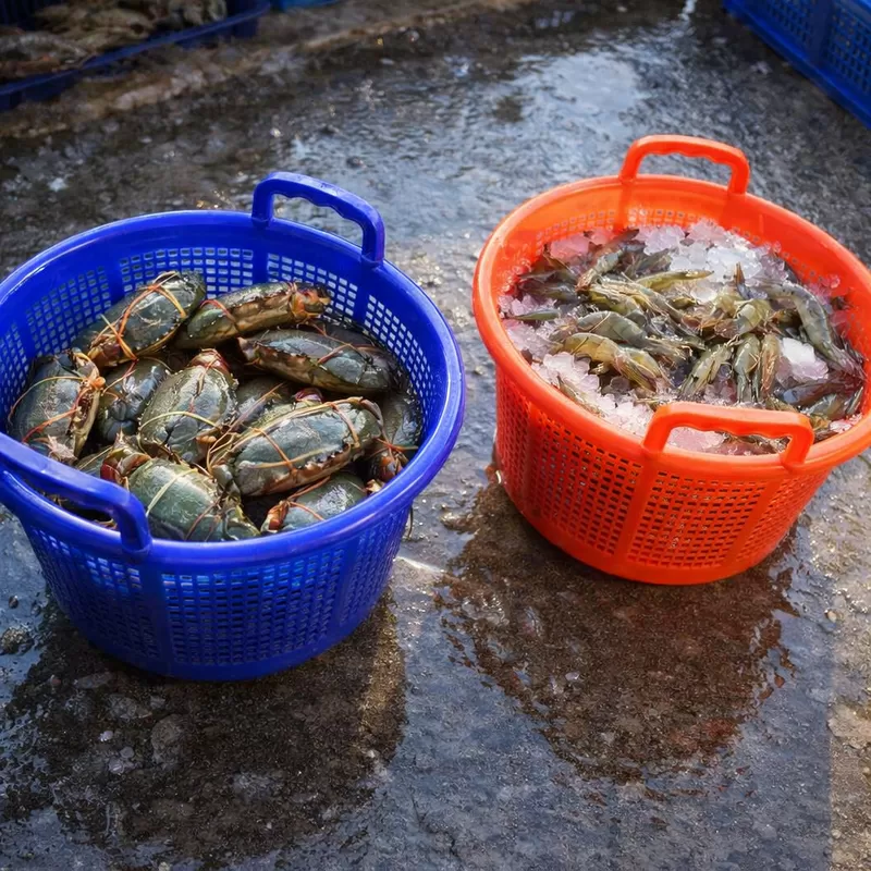 Derniers blogs de l'entreprise sur Comment faire correspondre les dimensions des paniers de crevettes en plastique avec les équipements de traitement existants