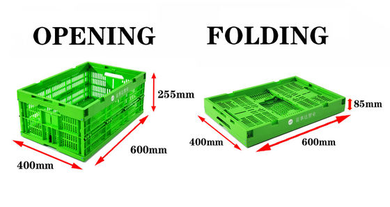 acheter Caisse en plastique pliable ventilée pour l'agriculture 24