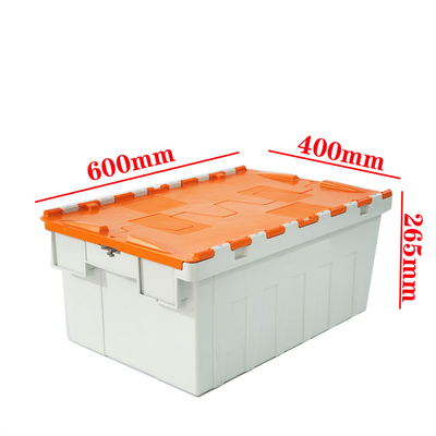 Commande personnalisée Container en plastique avec couvercle en plastique